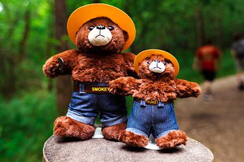 Smokey Bear Animals