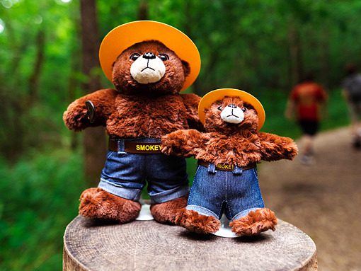 Smokey Bear Animals