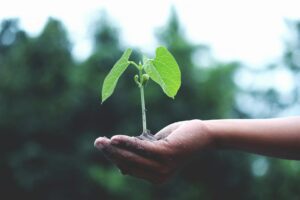 kids planting education outdoors